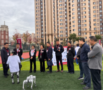 避免人工智能教育过泛化、碎片化、东西化问题